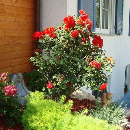 Ferienwohnung Weiser Kressbronn am Bodensee Exteriör bild