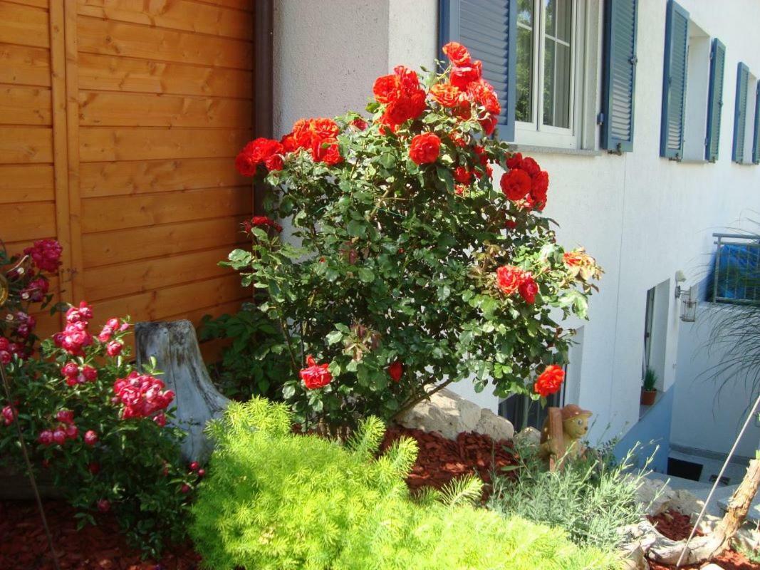 Ferienwohnung Weiser Kressbronn am Bodensee Exteriör bild